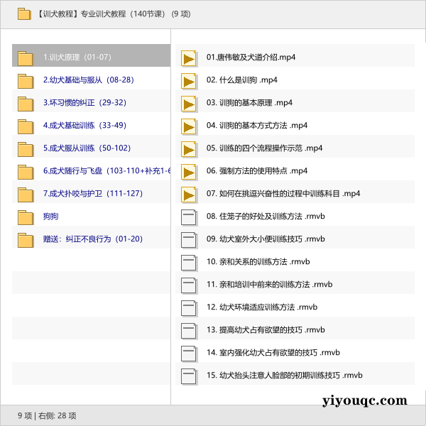 专业训犬教程(140节课)-向阳资源站
