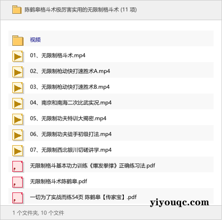 陈鹤皋格斗术极厉害实用的无限制格斗术-向阳资源站