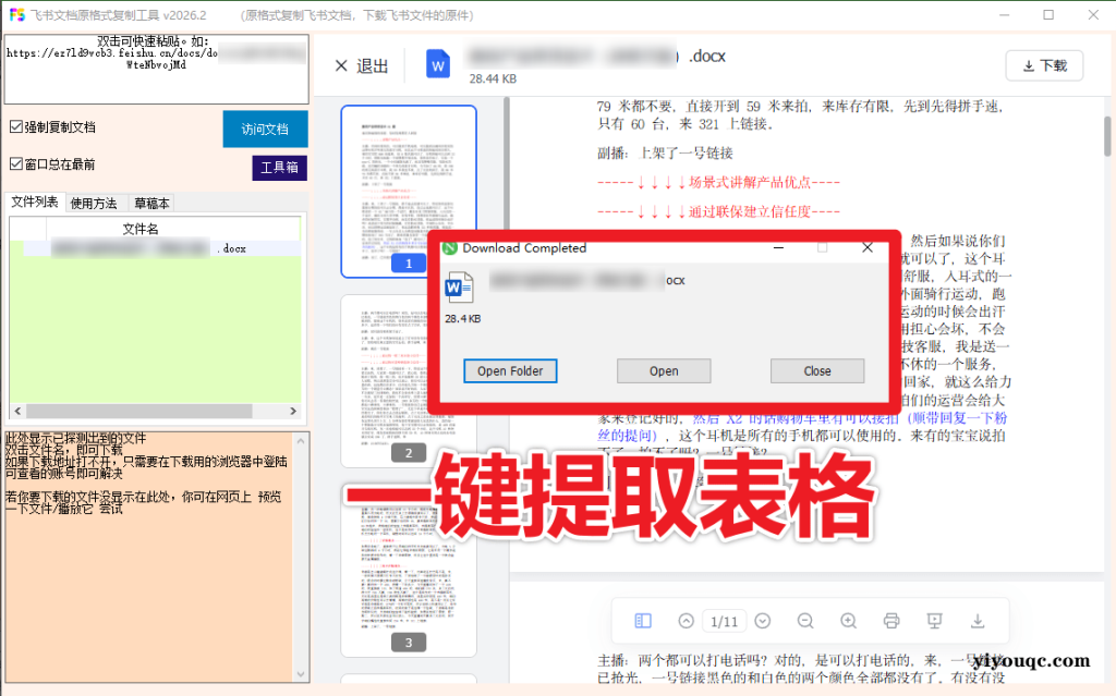 图片[2]-一招复制飞书文档内容，飞书文档内视频、图片、表格附件解锁下载权限，免安装一键运行使用 Fscopy-向阳资源站