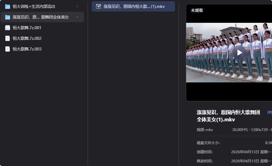 恒大歌舞团精选资源，舞动艺术之美-向阳资源站