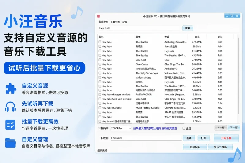 小汪音乐:支持自定义音源的音乐下载工具,试听后批量下载更省心-向阳资源站