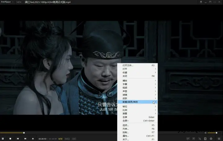 图片[3]-PotPlayer播放器：全能影音解码神器，极致优化版来袭-向阳资源站